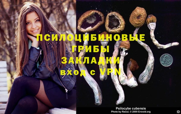 ECSTASY Остров