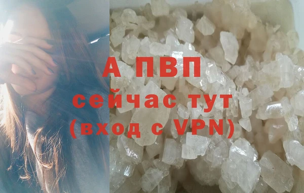 ECSTASY Остров