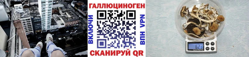 где купить наркотик  Рославль  Галлюциногенные грибы мухоморы 