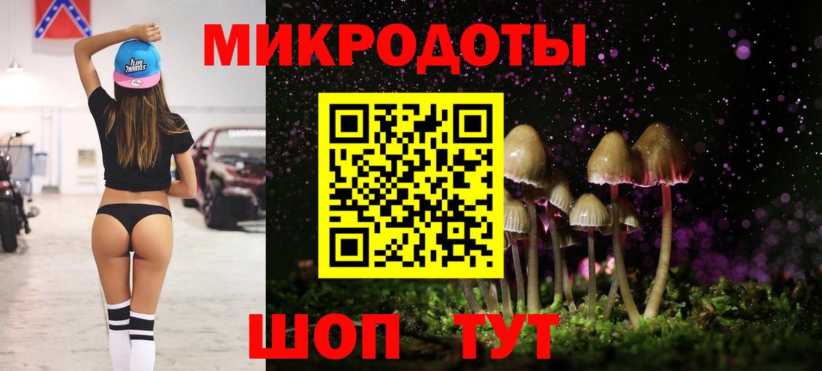 Псилоцибиновые грибы Psilocybe Рославль