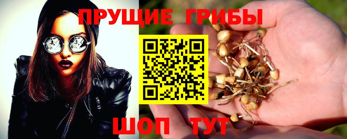 Псилоцибиновые грибы GOLDEN TEACHER  Вход с VPN  Рославль  Галлюциногенные грибы Psilocybine cubensis 